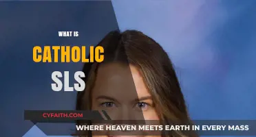 Understanding Catholic SLS: A Comprehensive Guide to Its Meaning and Purpose