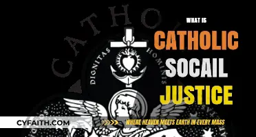 Understanding Catholic Social Justice: Principles, Practices, and Real-World Impact