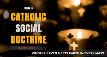 Understanding Catholic Social Doctrine: Principles, Teachings, and Real-World Applications