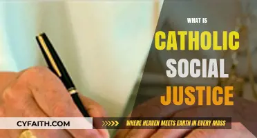 Understanding Catholic Social Justice: Principles, Practices, and Real-World Impact