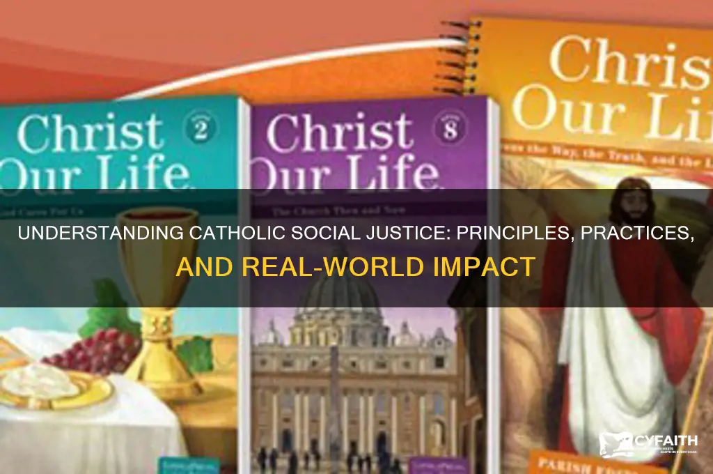 what is catholic social justice