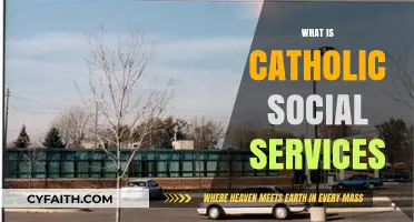 Understanding Catholic Social Services: Mission, Programs, and Community Impact