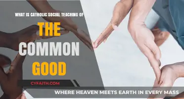 Understanding Catholic Social Teaching: The Common Good Explained