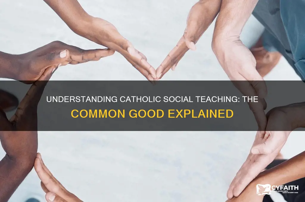 what is catholic social teaching of the common good