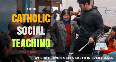 Understanding Catholic Social Teaching: Principles, Practices, and Faith in Action