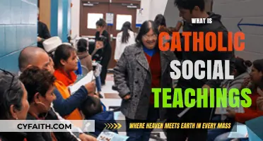 Understanding Catholic Social Teachings: Faith, Justice, and Human Dignity Explained