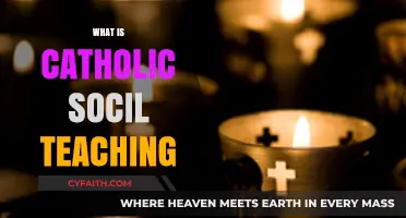 Understanding Catholic Social Teaching: Principles, Practices, and Real-World Applications