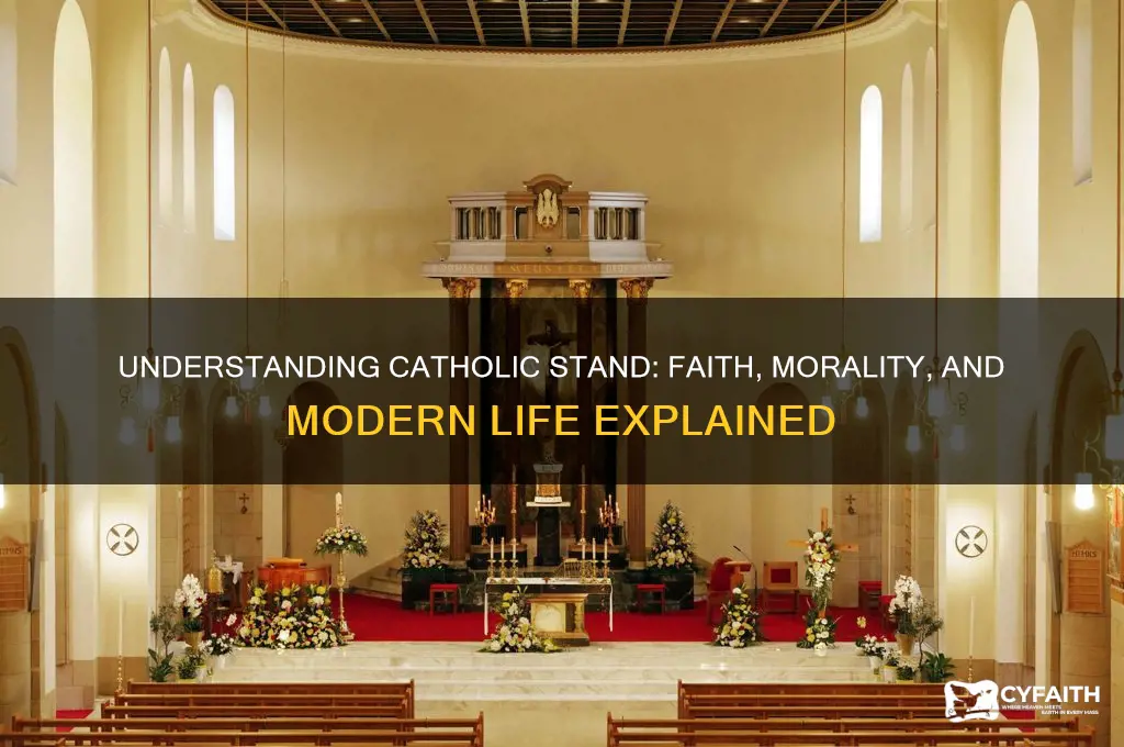 what is catholic stand