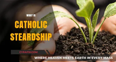 Understanding Catholic Stewardship: Faith, Responsibility, and Generosity Explained