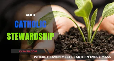 Understanding Catholic Stewardship: Faith, Responsibility, and Generosity Explained