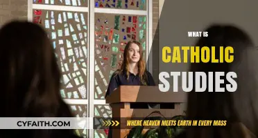 Exploring Catholic Studies: Faith, Tradition, and Intellectual Inquiry Explained
