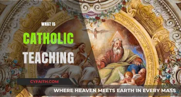 Understanding Catholic Doctrine: Core Teachings and Faith Principles Explained