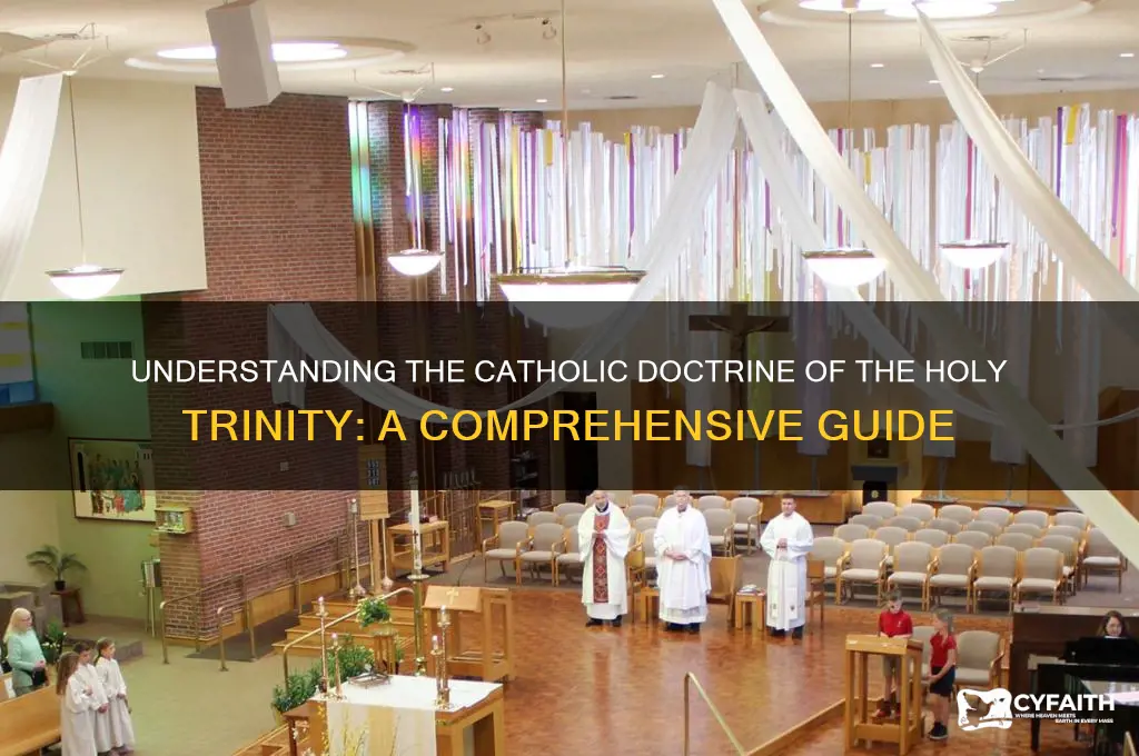 what is catholic trinityism