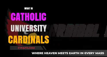Understanding Catholic University Cardinals: History, Mission, and Academic Excellence