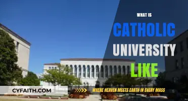 Exploring Catholic University Life: Faith, Academics, and Community Insights