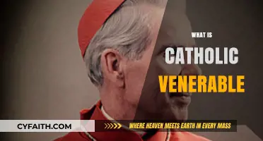 Understanding Catholic Venerable: A Step Toward Sainthood Explained