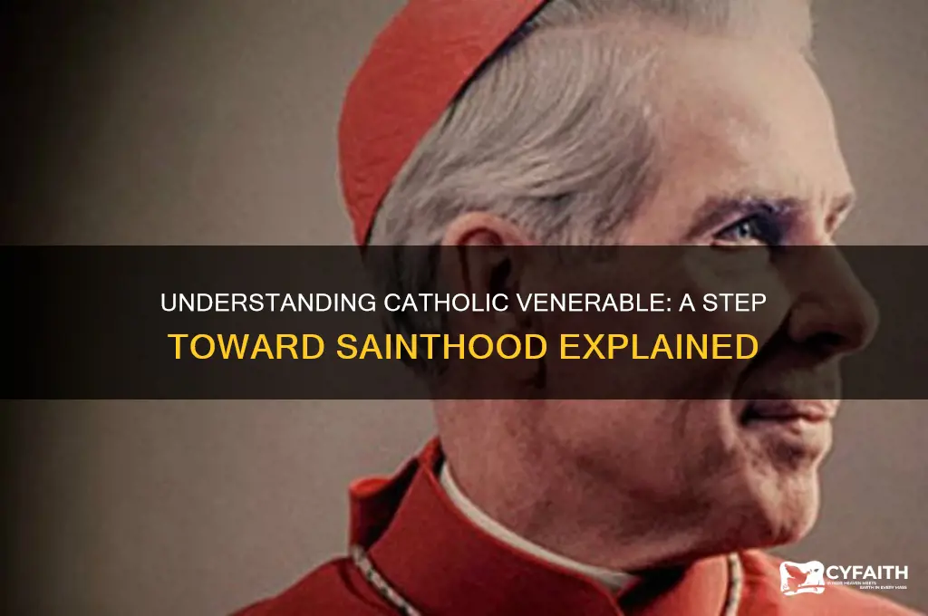 what is catholic venerable