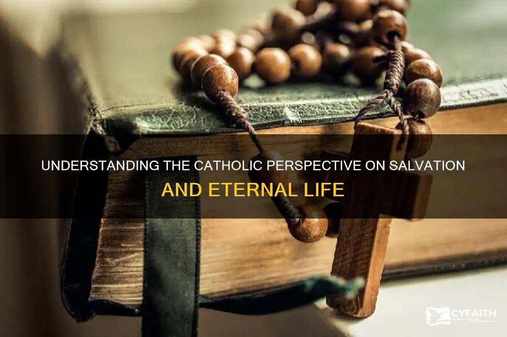 what is catholic view of salvation