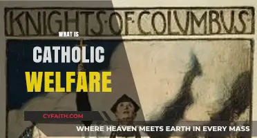 Understanding Catholic Welfare: Principles, Practices, and Community Impact