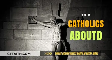 Understanding Catholicism: Core Beliefs, Practices, and Traditions Explained