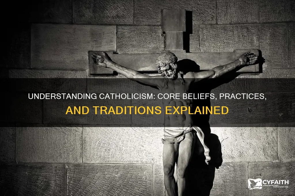 what is catholics aboutd