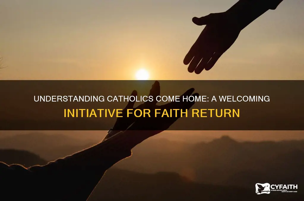 what is catholics come home