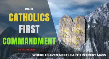 Understanding the Catholic Faith: Exploring the First Commandment's Significance