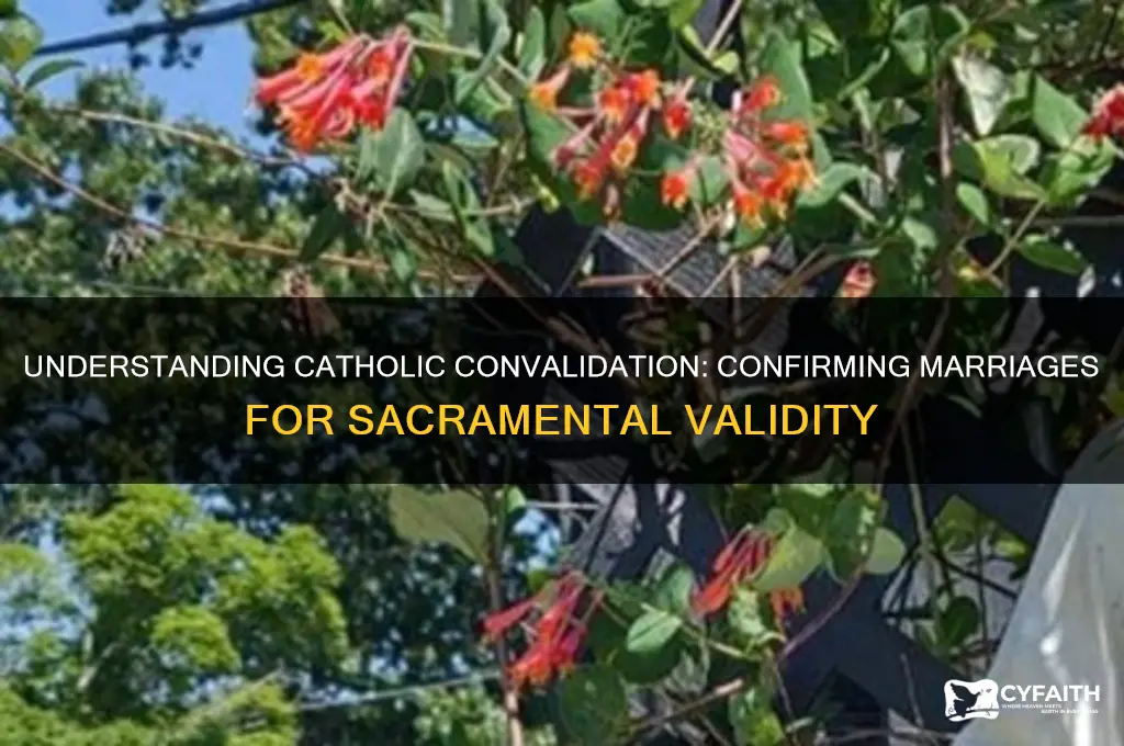 what is catholics needing convalidated marriages to be confirmed