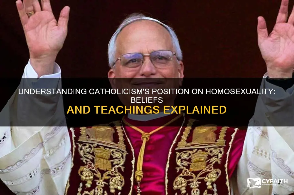 what is catholisms stance on homosexuality