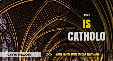 Exploring the Meaning and Origins of Catholo: A Comprehensive Guide