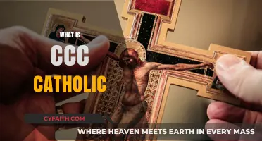 Understanding CCC Catholic: Core Beliefs, Practices, and Community Life