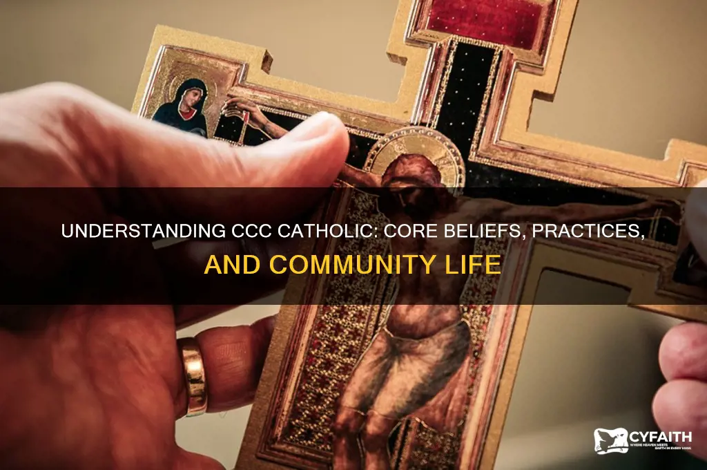 what is ccc catholic