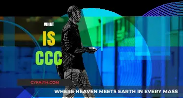 Understanding CCC: Comprehensive Guide to Its Meaning and Applications