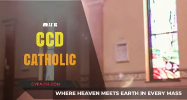 Understanding CCD: Catholic Catechesis and Faith Formation Explained