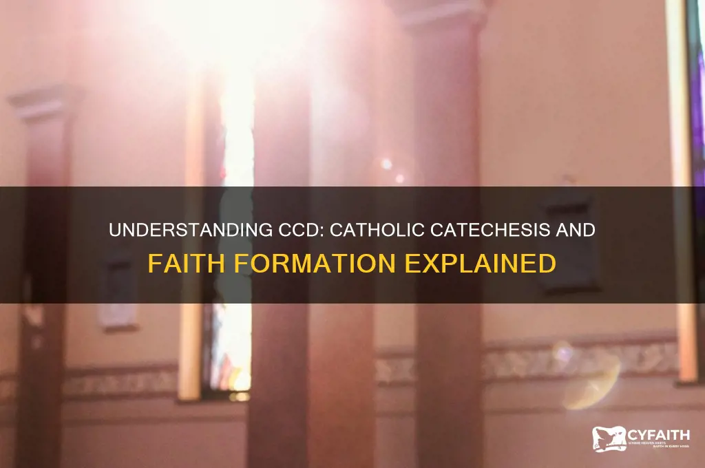 what is ccd catholic
