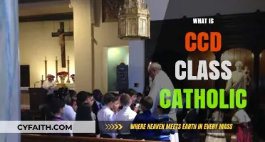 Understanding CCD Class: Catholic Faith Formation Explained for Beginners