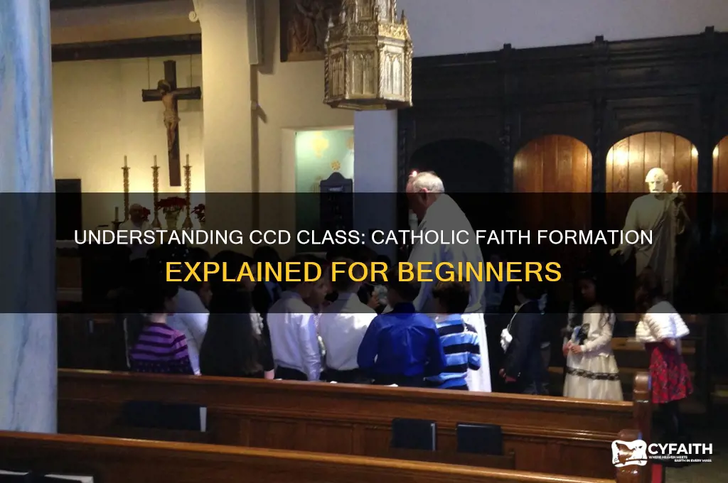 what is ccd class catholic