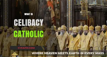 Understanding Celibacy in Catholic Tradition: Purpose, Practice, and Significance