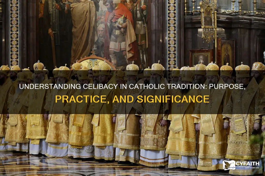 what is celibacy catholic