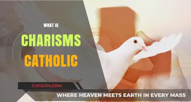 Understanding Charisms in the Catholic Church: Gifts of the Holy Spirit
