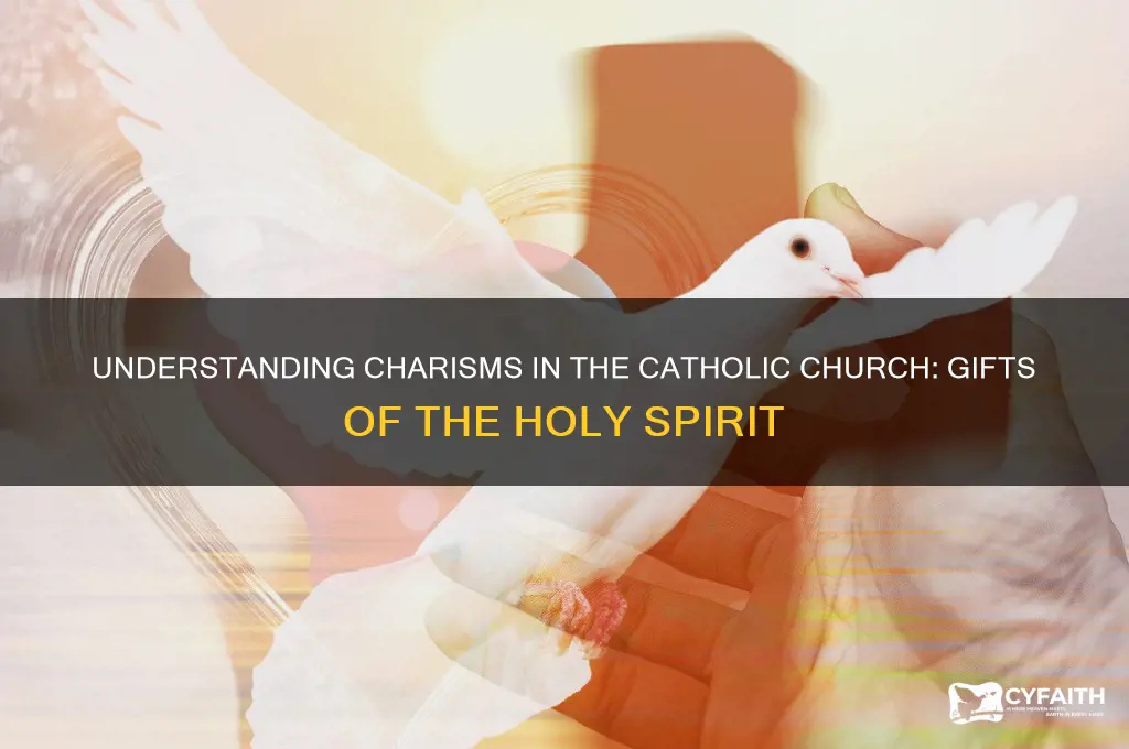 what is charisms catholic