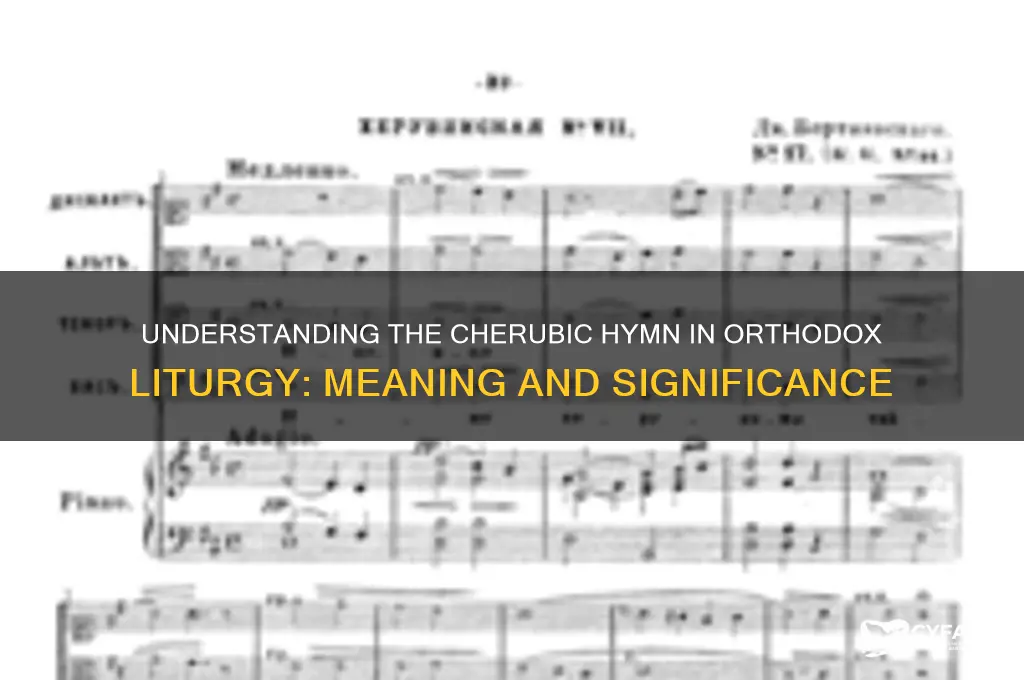 what is cherubic hym in orthodox