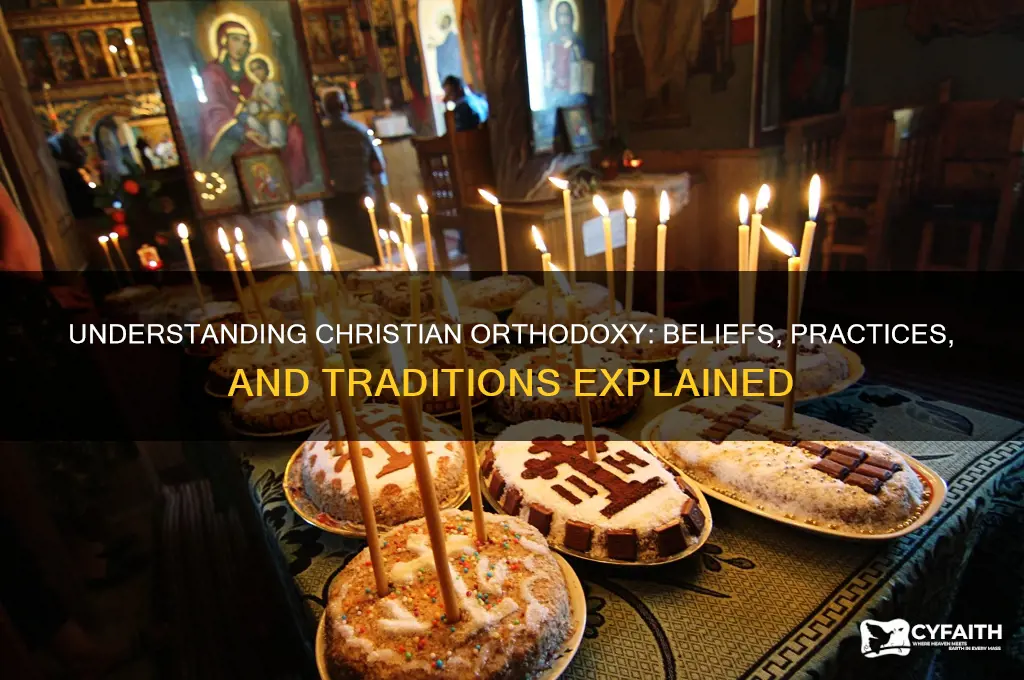 what is christian orthodox mean