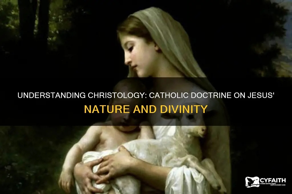 what is christology according to catholic definition