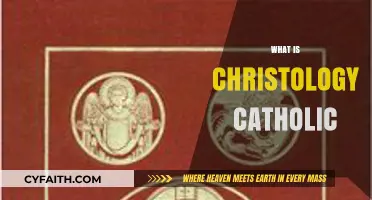 Understanding Christology: Exploring Catholic Teachings on Jesus Christ's Nature