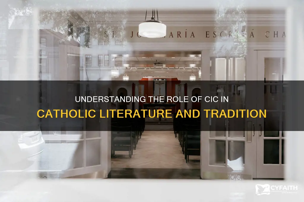 what is cic in catholic literature