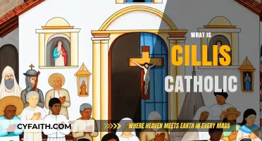 Understanding Cillis Catholic: Beliefs, Practices, and Modern Relevance Explained