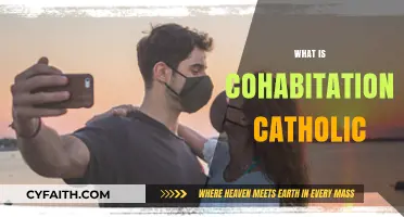 Understanding Cohabitation in Catholic Teachings: Faith, Marriage, and Commitment