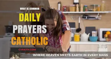 Understanding the Daily Catholic Prayers: A Guide to Common Practices