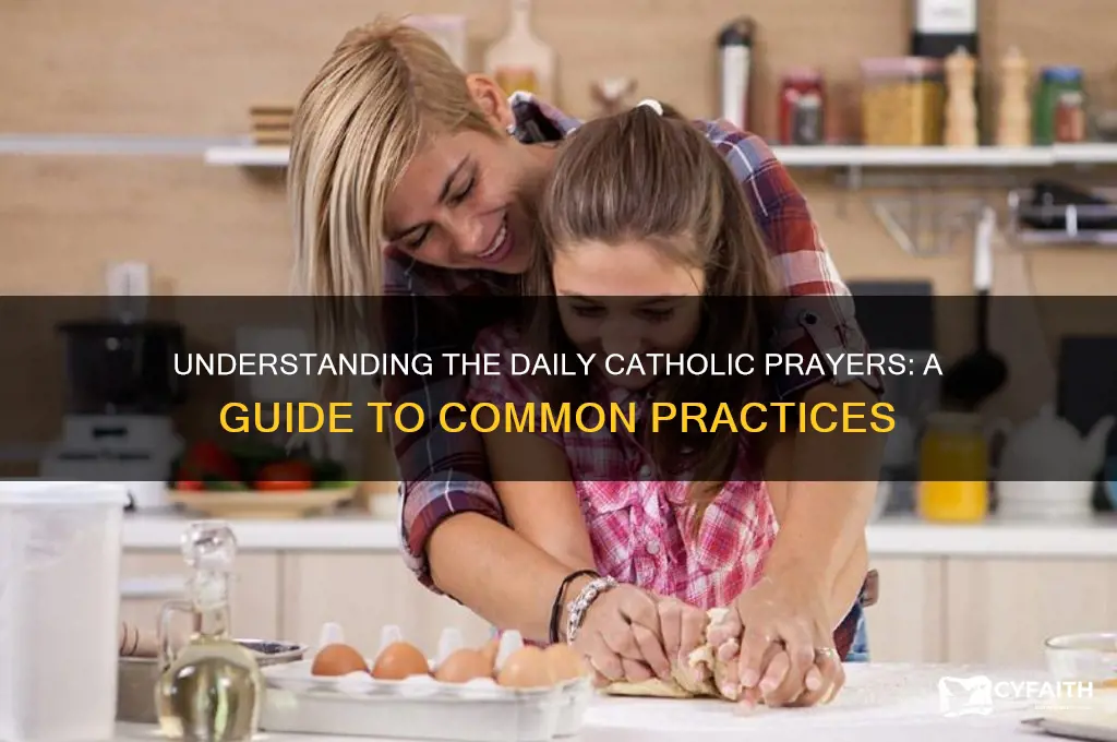 what is common daily prayers catholic